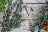 Matériaux nécessaires à la création d'une couronne automnale de baies de prunelles. Ciseaux, fil artisanal et prunelles - Prunus spinosa