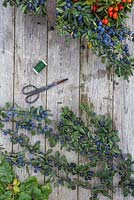 Matériaux nécessaires à la création d'une couronne automnale de baies de prunelles. Ciseaux, fil artisanal et prunelles - Prunus spinosa