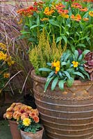Un pot d'automne avec Cheiranthus 'Sugar Rush Orange', la série Heuchera 'Blondie' Little Cuties, Erica sparsa, Carex 'Prairie Sky' et Helenium mexicanum 'Poncho'