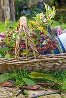 Pot en osier avec ballon thermos, couverture et mûres fourragères - Rubus fruticosus