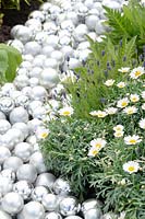 Marguerite Daisies avec Lavandula angustifolia 'Hidcote' et boules sensorielles en argent - Chimie ... tout ce qui compte Jardin - La bourse de mentorat Chris Beardshaw - Malvern Spring Gardening Show 2011