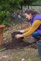 En utilisant vos mains, retirez doucement tout excès de compost, en faisant attention de ne pas endommager les racines. Stockage de la salvia pendant l'hiver.