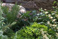 Pittosporum tobira 'Miss Muffet', Blechnuim gibbum et Philodendron 'Xanadu' avec vue sur le jardin en contrebas. Le temps entre les deux. RHS Chelsea Flower Show, 2015.