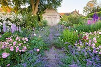 À l'aide de roses de David Austen, le jardin de roses de Wollerton Old Hall Garden, dans le Shropshire, abrite également une large gamme de plantes herbacées, notamment des delphiniums, des Nepeta 'Six Hills Giant' et des Penstemons.