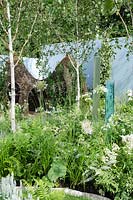 Maison de jeu en saule, tubes sensoriels, Betula sous-plantée de plantations blanches d'agapanthes, d'hortensias et de fougères - Corner of the World, RHS Hampton Court Palace Flower Show 2012