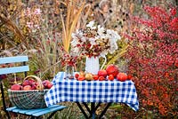 Cruche de fleurs séchées en automne. Honnêteté, cynorhodons, Sedum, Physalis, Persicaria, aster. Pommes récoltées.