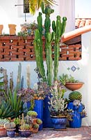 Succulentes assorties, Agaves et Cactus en pots. Jardin de Jim Bishop. San Diego, Californie, USA. Août.