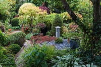 Un jardin de ville de style japonais avec Acer 'Garnet', 'Winter Flame' dans un pot noir, 'Peve Dave', 'Linearilobum' avec des feuilles d'or et 'Verdi' avec un dôme en pin.