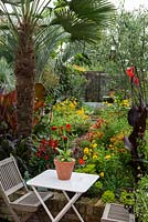 Un jardin tropical de la ville avec un coin salon entouré d'un parterre de fleurs chaud planté de coréopsis, de canna, de rudbeckia et de zinnia sous un palmier Trachycarpus wagnerianus.
