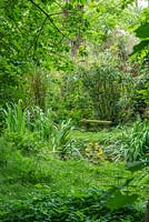 Un jardin de la faune des bois avec des arbres, des arbustes, des bambous, de l'herbe rugueuse et un étang avec un siège en pierre.