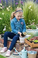 Un enfant plante des plantes succulentes echeveria dans des seaux métalliques.