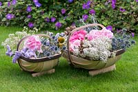 Fleurs de jardin coupées adaptées au séchage - hortensias, statice, gypsophile, houx de mer et coneflowers, avec têtes de graines séchées de coquelicots et love-in-the-mist.