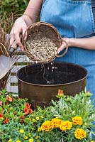 Planter un pot en cuivre avec des plantes de couleur chaude. Ajoutez du gravier au fond du pot pour améliorer le drainage.