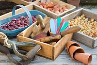 Scène de table de rempotage de printemps avec des plateaux d'échalotes et d'oignons, des outils à main, des étiquettes et d'autres articles de jardinage.