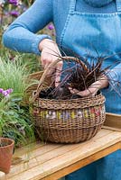 Planter un panier suspendu au début de l'automne. Plantez le panier, en commençant par de petites plantes traînantes près du bord et par les plus hautes au centre.