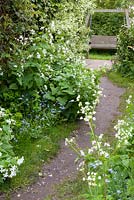 Sentier bien foulé le long du côté du chalet à un siège de balançoire en bois. Avec Lunaria annua var. albiflora - l'honnêteté blanche et Myosotis - ne m'oubliez pas.