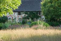 Le Courtyard Garden conçu par Piet Oudolf et John Coke présente de vastes zones d'herbes basses qui imitent les prairies environnantes, ici parsemées de têtes cramoisies profondes d'Allium sphaerocephalon. Bury Court Barn, Bentley, Hants, Royaume-Uni