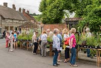 Stands de vente de plantes à Cerne Abbas Open Gardens Scheme 2015