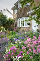 Découvre le long des jardins avant en pente raide avec Centranthus ruber, roses, cistes, nepeta, Erysimum 'Bowles's Mauve', géraniums et roses.