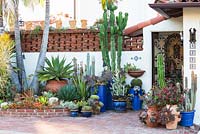 Voir l'assortiment de succulentes et de cactus en pots au jardin de Jim Bishop. San Diego, Californie, USA. Août.