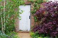 Porte de jardin murée avec Betula utilis 'Jacquemontii' et Acer palmatum 'Garnet' - 'A Fruity Story' - RHS Malvern Spring Festival 2014