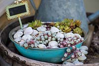 Un bol en métal recyclé planté de plantes succulentes et décoré de coquillages.