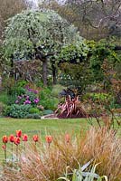 Un jardin de printemps avec des plates-bandes mixtes sous Pyrus salicifolia 'Pendula '.