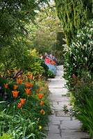Un parterre de printemps avec Tulipa orange 'Ballerine' à côté d'un chemin de pierre. Au loin, rouge 'Annie Shilder' et 'Dordogne', rose Tulipa 'Barcelona' et, enfin, Tulipa 'Violet beauty' et 'Negrita '. Great Dixer.