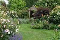 La clairière - un chemin d'herbe incurvé mène à une maison d'été en bois à travers des parterres de géraniums, de nepeta, de virburnum et de Rosa 'Tall Story', 'Felicia', 'Geoff Hamilton', 'Whisky Mac', 'Sweet Juliet '.