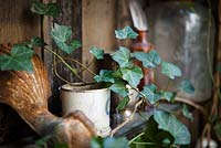 Étagères en bois dans la cour avec hélice et objets Hedera. Lucille Lewins, petit bureau cour jardin dans Chiltern street studios, Londres. Conçu par Adam Woolcott et Jonathan Smith