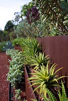 Jardins botaniques royaux, Sydney, Australie, Cactus et jardin succulent