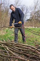 Stephen Westover enlevant les branches saillantes des bâtons de noisetier
