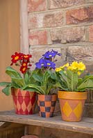 Pots en terre cuite avec différents motifs de tartan, plantés avec la série Primula elatior Crescendo