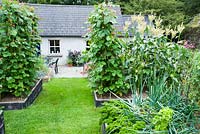 Des parterres de fleurs surélevés entre la maison et le salon de thé sont utilisés pour cultiver une gamme de légumes et de salades, notamment des haricots, du maïs doux et du persil. Le Bay Garden, Camolin, Co Wexford, Irlande
