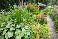 Une promenade mène à travers le jardin des tourbières jusqu'à une maison d'été en bois, entre hostas, lythrum, primules ligularias, filipendules et hortensias. Le Bay Garden, Camolin, Co Wexford, Irlande