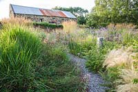 The Barn Garden, un mélange d'herbes et de plantes vivaces herbacées, y compris Stipa tenuissima pâle, Rhus typhina 'Dissecta', sanguisorba et Verbena bonariensis pourpre. Le Bay Garden, Camolin, Co Wexford, Irlande