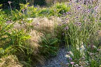 The Barn Garden, un mélange d'herbes et de plantes vivaces herbacées, y compris Stipa tenuissima pâle, Rhus typhina 'Dissecta' et Verbena bonariensis pourpre. Le Bay Garden, Camolin, Co Wexford, Irlande