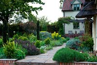 Jardin de chaumière avec un chemin à côté d'une maison menant à la terrasse sous la pergola. Parterre d'ifs fastigiés Taxus, Euphorbia characias, Salvia officinalis 'Purpurascens'