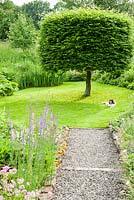Charme en forme avec Tom l'Epagneul allongé sur l'herbe. Upper Tan House, Stansbatch, Herefordshire, Royaume-Uni