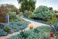 Vue sur chemin serpentant à travers des parterres de fleurs mélangés contenant des plantes succulentes et des cactus. Jardin de Debora Carl, Encinitas, Californie, USA. Août.
