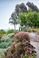 Vue du coin salon extérieur avec vue sur les graminées ornementales et les aeoniums. Jardin de Debora Carl, Encinitas, Californie, USA. Août.