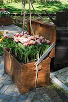 Boîte en bois avec tulipes roses. Jardin d'inspiration: l'âge d'or.