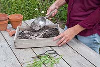 Mélanger le compost et la perlite pour planter les boutures
