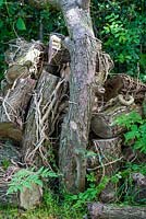 Jardinage de la faune - tas de bois pour encourager la faune.