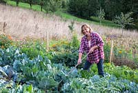 Katrin Schumann travaille son acre de légumes dans la forêt bavaroise. Les plantes sont le brocoli, les salades, l'artichaut, les carottes, le Tithonia rotundifolia et le Zinnia