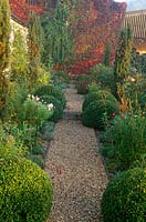 Chemin entre les sphères coupées de boîte et ifs fastigiés menant vers un mur avec du lierre de Boston aux couleurs vives dans un jardin du Dorset à l'automne