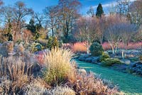 Le jardin d'hiver, les jardins de Bressingham, janvier.