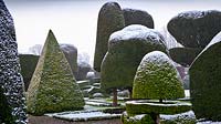 Formes topiaires avec un revêtement de neige légère à Levens Hall and Garden, Cumbria, Royaume-Uni.