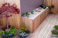 Barbecue extérieur et plantes en pots dont Acer. Avril.