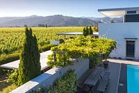 Vignes couvrant une table et un banc à côté de la piscine avec vue sur les montagnes et les vignobles au-delà au jardin Bhudevi Estate, Marlborough, Nouvelle-Zélande.